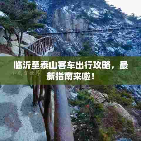 临沂至泰山客车出行攻略，最新指南来啦！