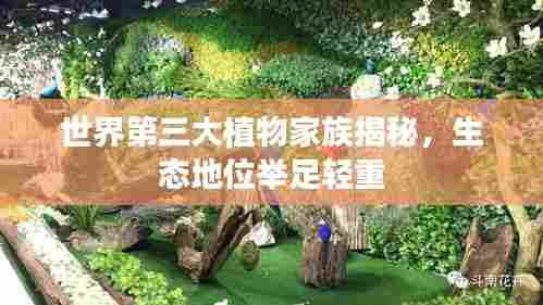 光明磊落 第3页