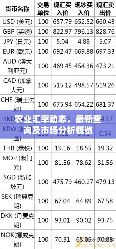 农业汇率动态，最新查询及市场分析概览