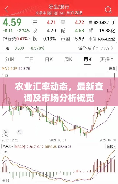 农业汇率动态,最新查询及市场分析概览