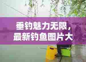 如鸟兽散 第2页