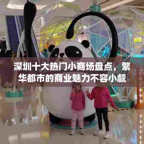 深圳十大热门小商场盘点,繁华都市的商业魅力不容小觑