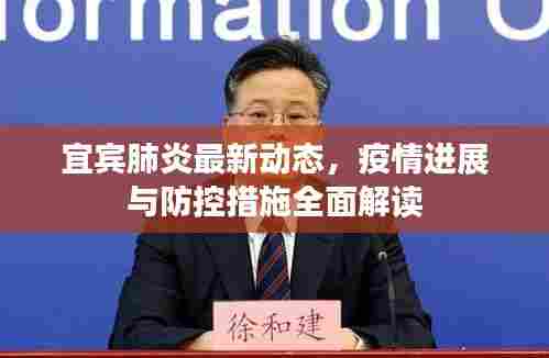 宜宾肺炎最新动态，疫情进展与防控措施全面解读