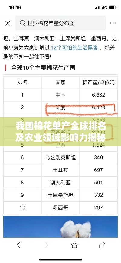 我国棉花单产全球排名及农业领域影响力揭秘