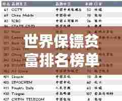 世界保镖贫富排名榜单揭晓！