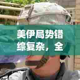 插翅难飞 第3页