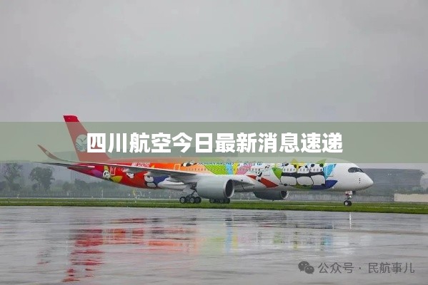 四川航空今日最新消息速递