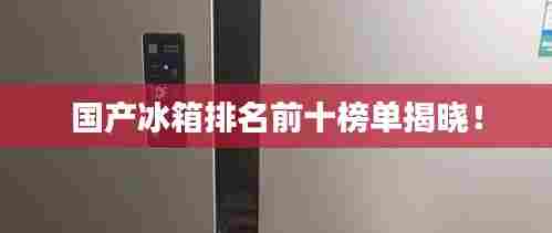 国产冰箱排名前十榜单揭晓!