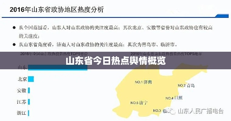 山东省今日热点舆情概览