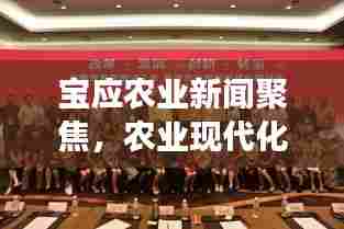 宝应农业新闻聚焦，农业现代化新篇章引领发展