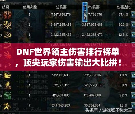 DNF世界领主伤害排行榜单，顶尖玩家伤害输出大比拼！