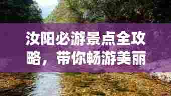 笨鸟先飞 第2页