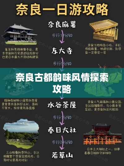 行疾如飞 第3页