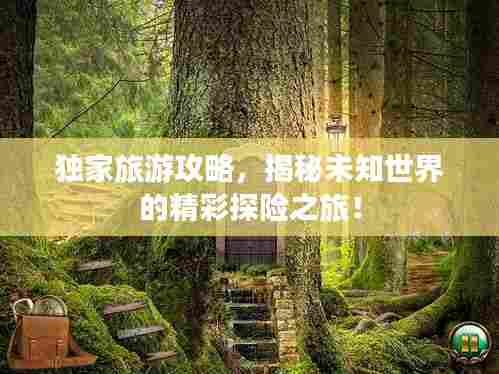 独家旅游攻略,揭秘未知世界的精彩探险之旅!