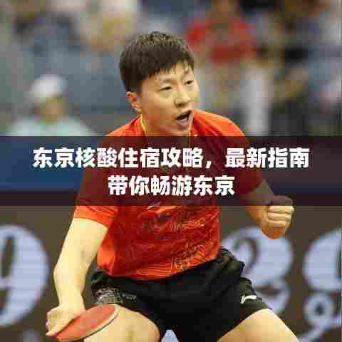 东京核酸住宿攻略，最新指南带你畅游东京