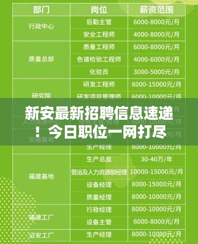 新安最新招聘信息速递!今日职位一网打尽