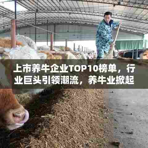 上市养牛企业TOP10榜单,行业巨头引领潮流,养牛业掀起新篇章!