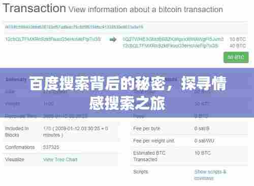 百度搜索背后的秘密,探寻情感搜索之旅