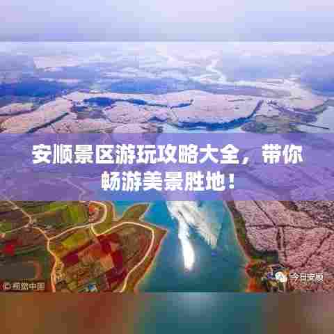 花开无言 第2页