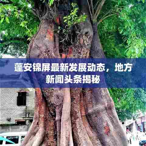 蓬安锦屏最新发展动态,地方新闻头条揭秘