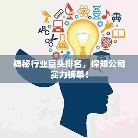 揭秘行业巨头排名,探知公司实力榜单!