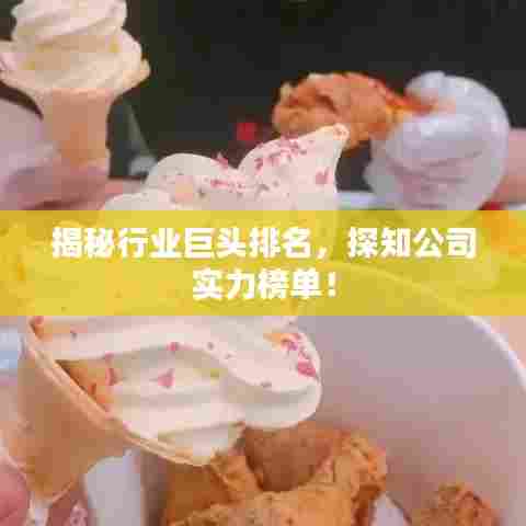揭秘行业巨头排名,探知公司实力榜单!