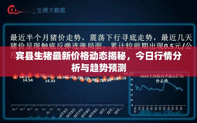 宾县生猪最新价格动态揭秘,今日行情分析与趋势预测