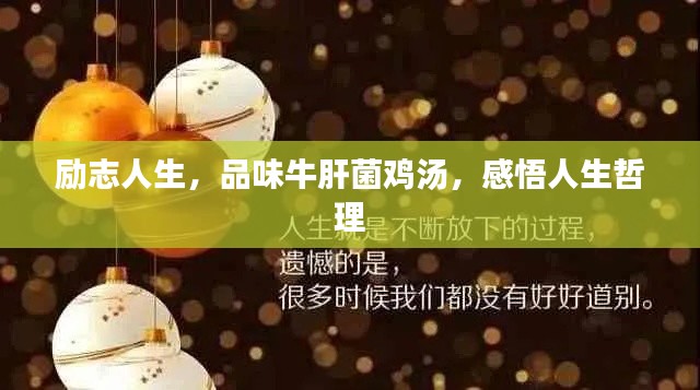 励志人生,品味牛肝菌鸡汤,感悟人生哲理