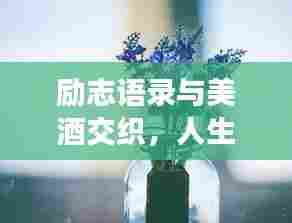 励志语录与美酒交织,人生路上的醉人智慧