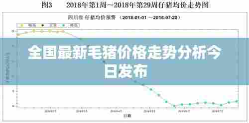 全国最新毛猪价格走势分析今日发布