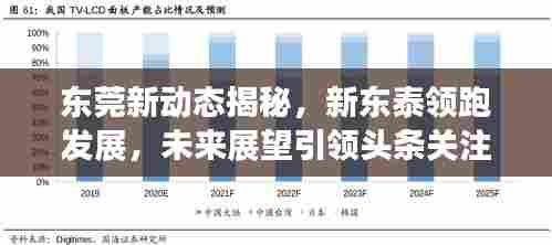 东莞新动态揭秘，新东泰领跑发展，未来展望引领头条关注