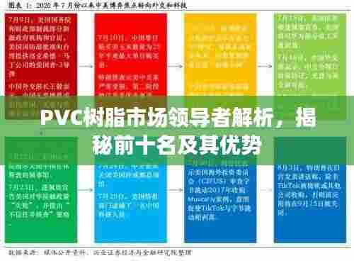 PVC树脂市场领导者解析,揭秘前十名及其优势