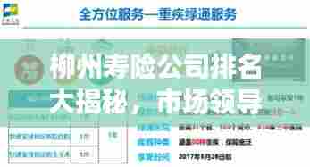 柳州寿险公司排名大揭秘,市场领导者与优质服务商探寻之旅