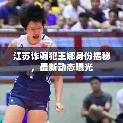 江苏诈骗犯王娜身份揭秘，最新动态曝光