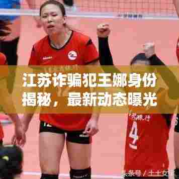 江苏诈骗犯王娜身份揭秘,最新动态曝光