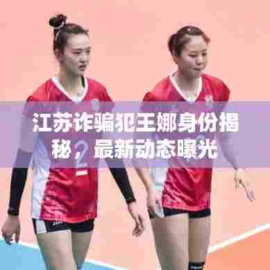 江苏诈骗犯王娜身份揭秘,最新动态曝光