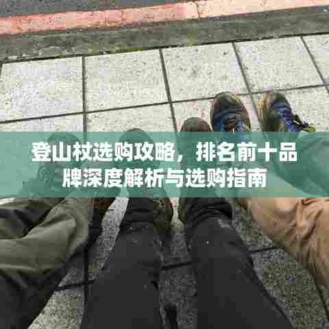 登山杖选购攻略,排名前十品牌深度解析与选购指南