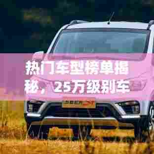 热门车型榜单揭秘,25万级别车型销量排名前十!
