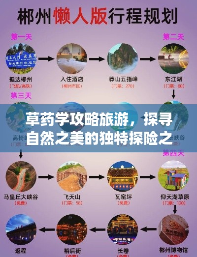 一丝不苟 第3页