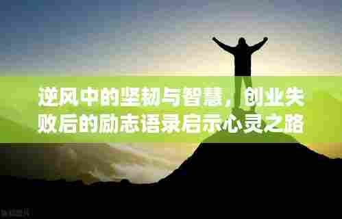 逆风中的坚韧与智慧,创业失败后的励志语录启示心灵之路