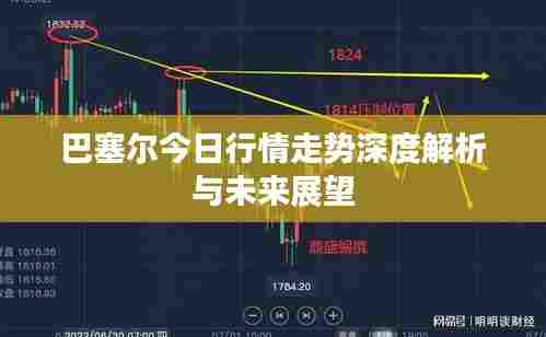 巴塞尔今日行情走势深度解析与未来展望