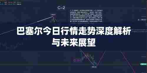巴塞尔今日行情走势深度解析与未来展望