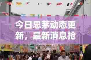 今日思茅动态更新,最新消息抢先看
