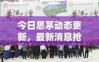 今日思茅动态更新,最新消息抢先看