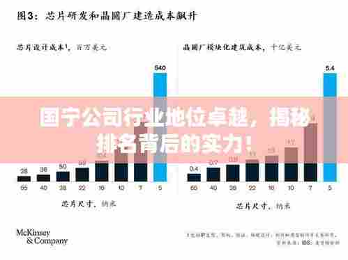 国宁公司行业地位卓越,揭秘排名背后的实力!