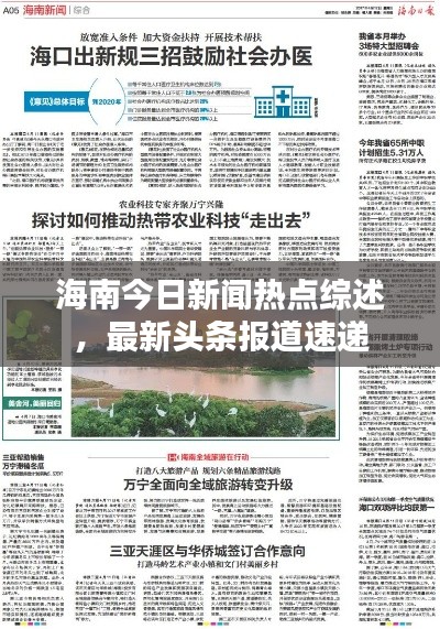 海南今日新闻热点综述,最新头条报道速递