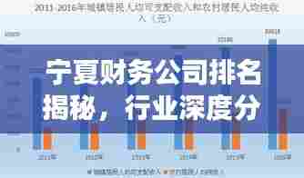 宁夏财务公司排名揭秘，行业深度分析与趋势解读
