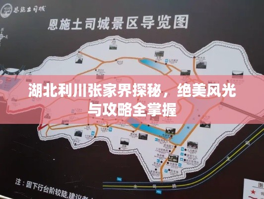湖北利川张家界探秘,绝美风光与攻略全掌握
