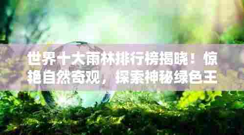 噩噩浑浑 第3页