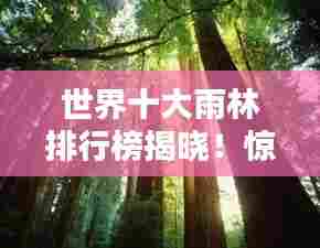 世界十大雨林排行榜揭晓!惊艳自然奇观,探索神秘绿色王国!